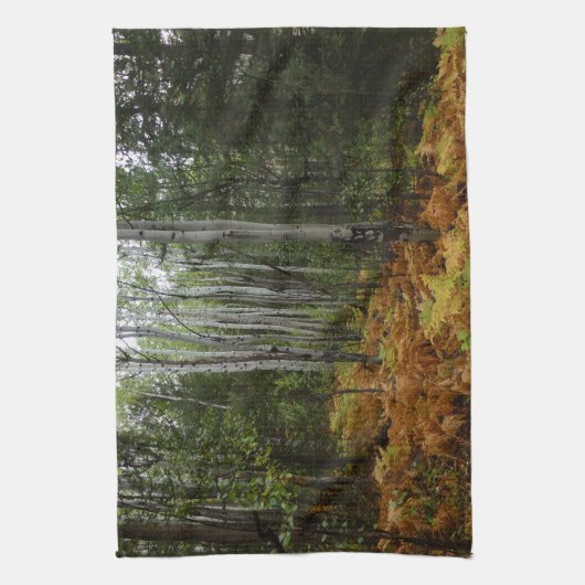 White Birch Trees and Herfst Ferns in Rocky Mounta Theedoek (Verticaal)