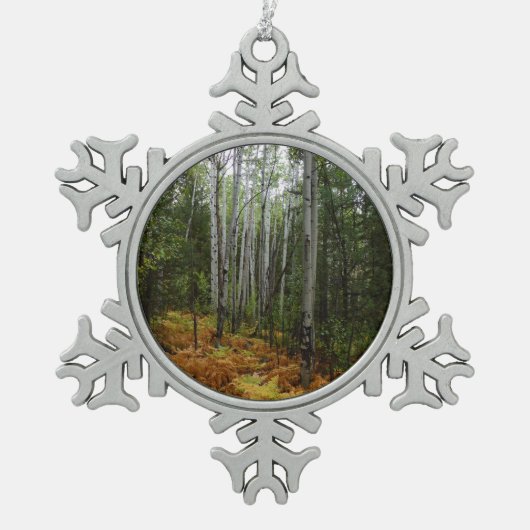 White Birch Trees and Herfst Ferns in Rocky Mounta Tin Sneeuwvlok Ornament (Voorkant)