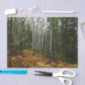 White Birch Trees and Herfst Ferns in Rocky Mounta Tissuepapier (Craft)