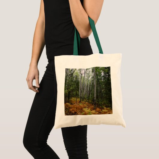 White Birch Trees and Herfst Ferns in Rocky Mounta Tote Bag (Voorkant (product))