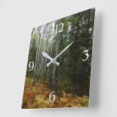 White Birch Trees and Herfst Ferns in Rocky Mounta Vierkante Klok (Hoek)