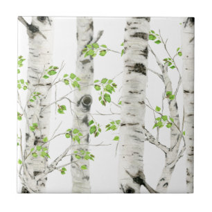 White Birch Trees Decorative Ceramic Tile Tegeltje
