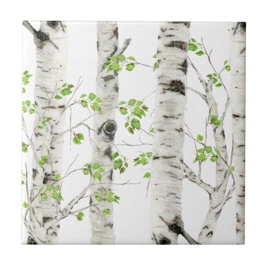 White Birch Trees Decorative Ceramic Tile Tegeltje (Voorkant)