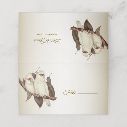 White Birds Place Card Plaatskaartje (Buitenkant ongevouwen)