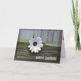 White Birthday Daisy on Wood Kaart