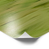 White & Black Beauty Horse Galloping in Natuur Foto Afdruk (Hoek)