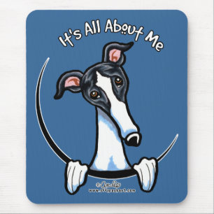 White Black Greyhound IAAM Muismat