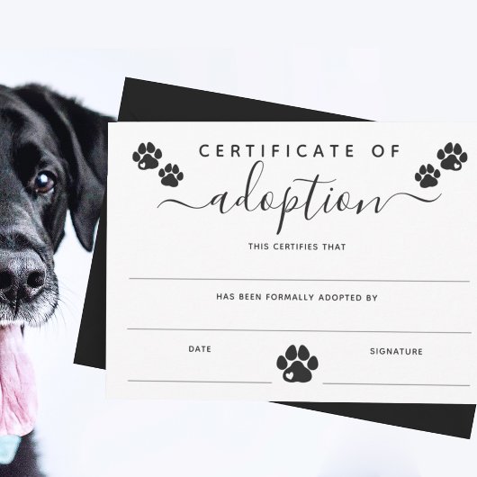 White Black Paw Prints Certificate of Adoption