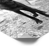 White Black Wolf Landschap Poster (Hoek)