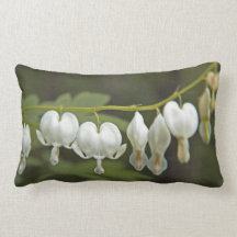 White Bleeding Hearts DicHunter Green en Ch