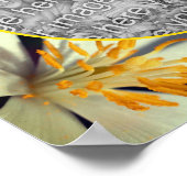 White Bloodroot Flower Lijst Creëer Uw eigen foto Poster (Hoek)