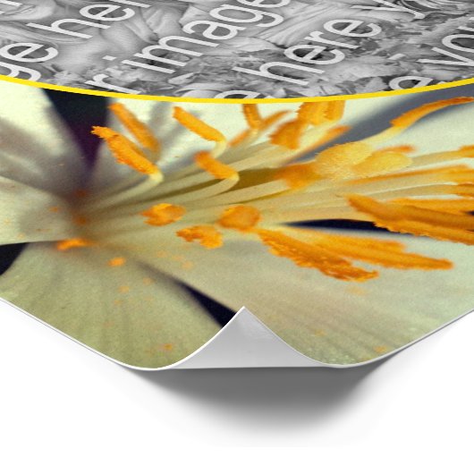 White Bloodroot Flower Lijst Creëer Uw eigen foto Poster (Hoek)