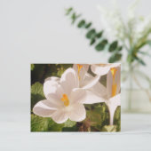 White Bloom Dapapped Light Briefkaart (Staand voorkant)