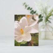 White Bloom Dapapped Light Briefkaart (Staand voorkant)