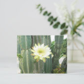 White Bloom on Cactus Briefkaart (Staand voorkant)