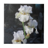 White Blooming Iris Tegeltje (Voorkant)