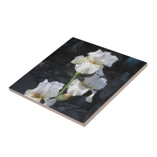 White Blooming Iris Tegeltje (Zijkant)