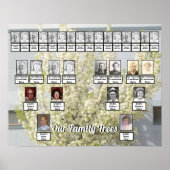 White Blossom Spring Tree Foto 2 Family Trees Poster (Voorkant)