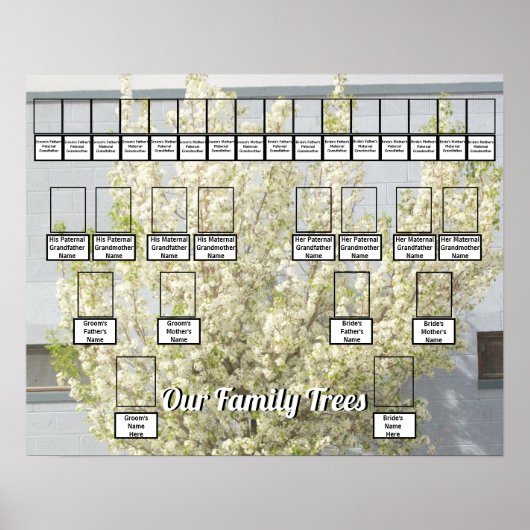 White Blossom Spring Tree Foto 2 Family Trees Poster (Voorkant)