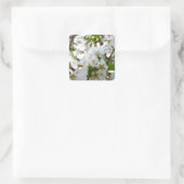 White Blossom Vierkante Sticker (Tas)