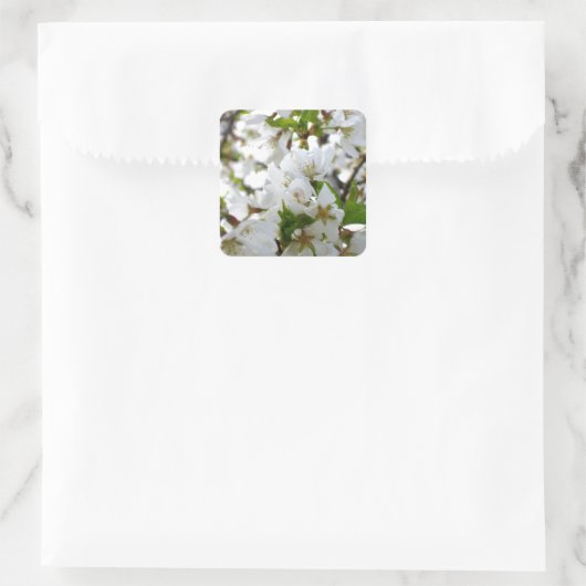 White Blossom Vierkante Sticker (Tas)