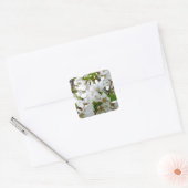 White Blossom Vierkante Sticker (Envelop)