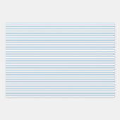 White Blue Floral Eucalyptus Stripes Inpakpapier Vel (Voorkant 2)