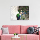 White Blue Peacock Canvas Afdruk (Insitu (Woonkamer))