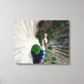 White Blue Peacock Canvas Afdruk (Voorkant)