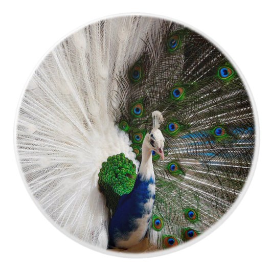 White Blue Peacock Keramische Knop (Voorkant)