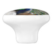 White Blue Peacock Keramische Knop (Zijkant)
