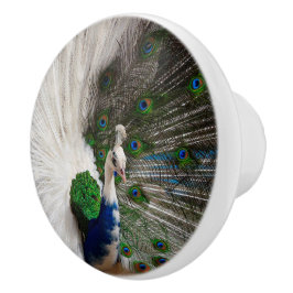 White Blue Peacock Keramische Knop