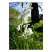 White Bluebells Blank Note Card (Voorkant)
