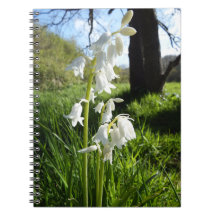 White Bluebells notebook