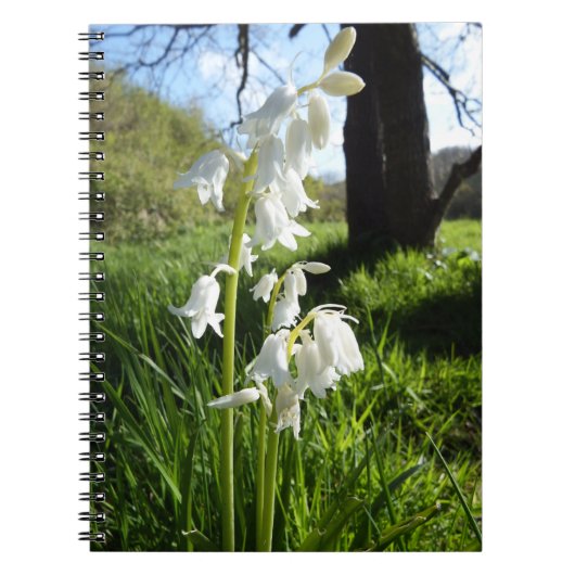 White Bluebells notebook Notitieboek (Voorkant)
