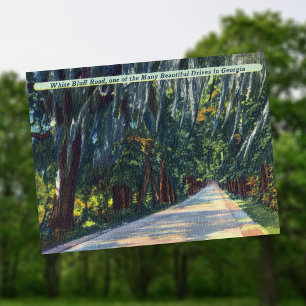 White Bluff Red Mooie Dr. Savannah GA Historisch Briefkaart