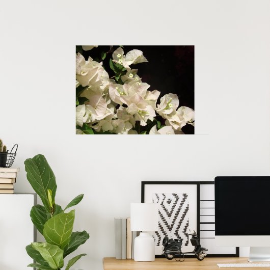 White Bougainvillea Flowers Poster (Thuiskantoor)