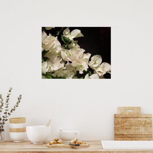 White Bougainvillea Flowers Poster (Keuken)