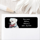 White Boxer dog Etiket (Insitu)