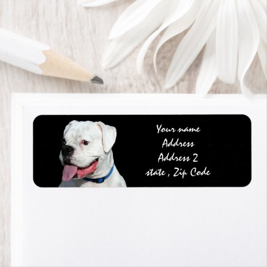 White Boxer dog Etiket (Insitu)