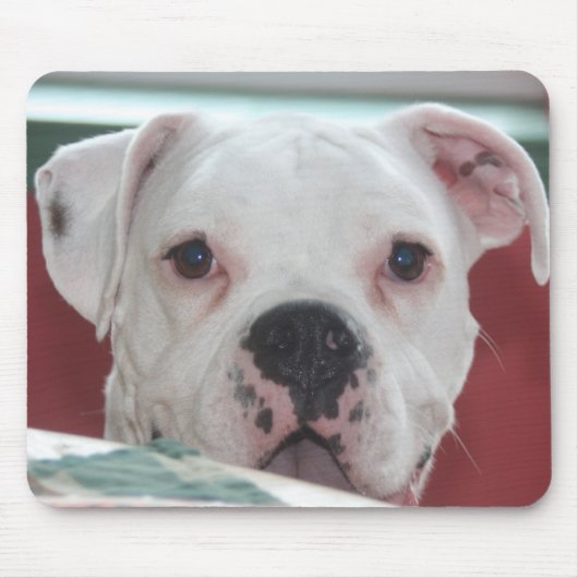 White Boxer Dog Photo Muismat (Voorkant)