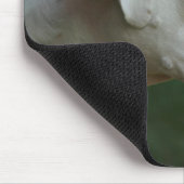 White Boxer Dog Photo Muismat (Hoek)