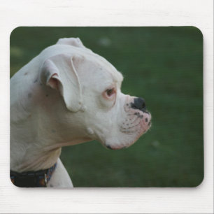 White Boxer Dog Photo Muismat