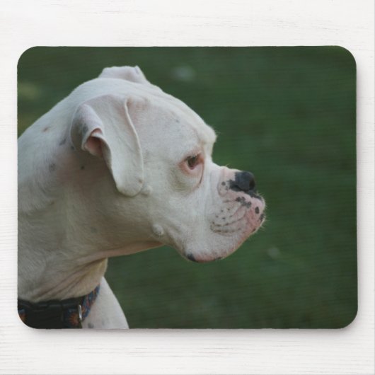 White Boxer Dog Photo Muismat (Voorkant)