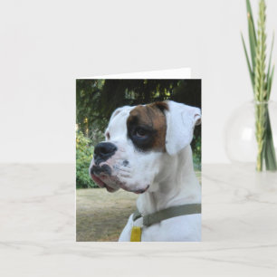 White Boxer Dog Portret Kaart