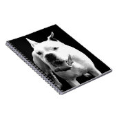 White Boxer dog spiral notebook Notitieboek (Rechterzijde)