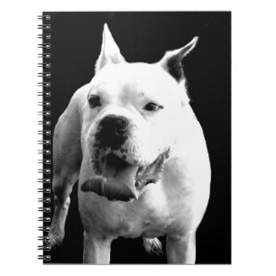White Boxer dog spiral notebook Notitieboek