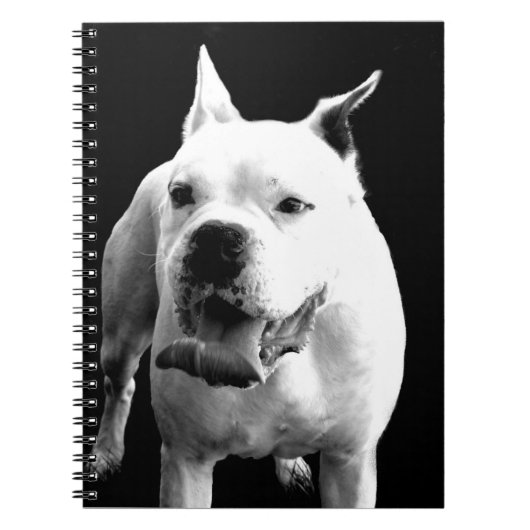 White Boxer dog spiral notebook Notitieboek (Voorkant)
