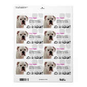 White Boxer Foto Etiket (Full Sheet)