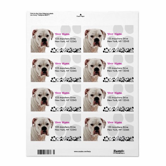 White Boxer Foto Etiket (Full Sheet)